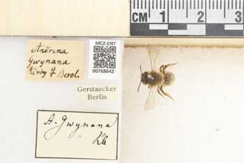 Media type: image;   Entomology 768642 Aspect: Labels